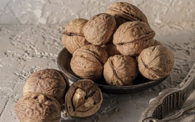 Lợi ích của quả óc chó đối với bệnh đái tháo đường