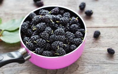 Dâu tằm giúp tăng cường miễn dịch, tốt cho tim và còn gì nữa?