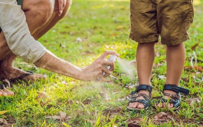 Tinh dầu đuổi muỗi, làm dịu vết muỗi đốt