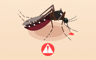 Những lưu ý khi phun thuốc diệt muỗi phòng bệnh sốt xuất huyết