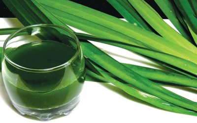 Trị đái tháo đường bằng lá dứa có hiệu quả không?