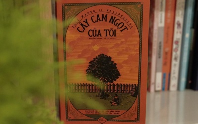 Câu chuyện đẹp đẽ trong Cây cam ngọt của tôi