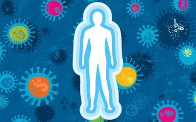 Các biện pháp tăng cường sức đề kháng đơn giản mà hiệu quả