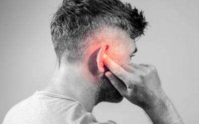 Xu hướng sử dụng thảo dược để cải thiện ù tai, nghe kém 