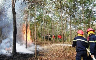 Dự báo thời tiết ngày 20/5: Miền Trung nắng nóng kéo dài, cảnh báo cháy rừng
