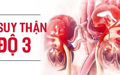 Kiểm soát suy thận độ 3 an toàn, hiệu quả bằng thảo dược
