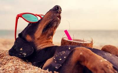 Tử vi thứ Hai (24/5/2021): Xử Nữ đang tỏ ra rất lười biếng