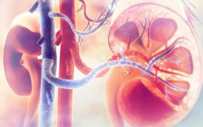 Ổn định sức khỏe người suy thận độ 4 nhờ sản phẩm thảo dược