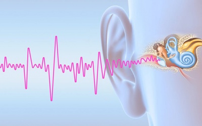 Giải pháp cải thiện ù tai kéo dài nhờ sản phẩm thảo dược