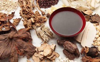 Trị bệnh gan nhiễm mỡ bằng thuốc Nam như thế nào để hiệu quả?