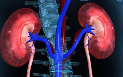 Người bị suy thận nên làm gì để hạn chế nguy cơ phải chạy thận?