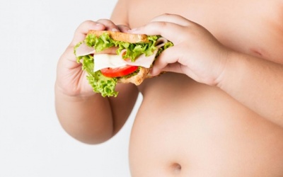 Tỷ lệ trẻ Việt Nam bị thừa cân, béo phì tăng 2,2 lần trong 10 năm