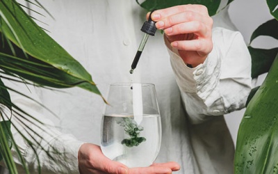 Lợi ích của nước diệp lục và cách sử dụng đúng đắn