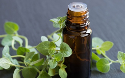 Cách dùng tinh dầu oregano trị nấm, chống viêm