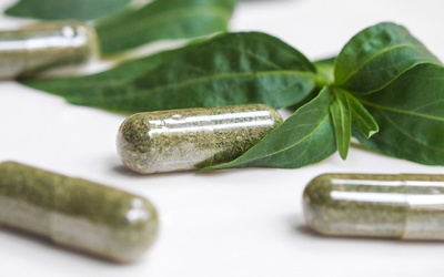 Bộ Y tế cho phép dùng xuyên tâm liên để điều trị COVID-19 