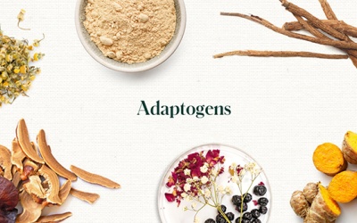 Một số thảo dược adaptogen giúp cân bằng hormone, cải thiện sức khỏe