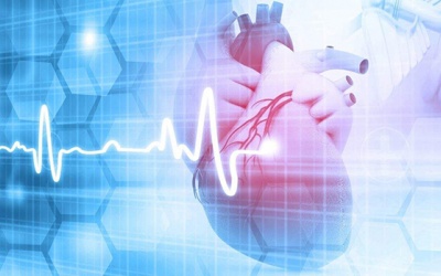 Những điều bạn cần biết về nhịp tim và sức khỏe