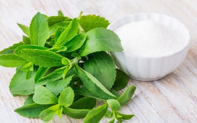 Cỏ ngọt stevia: Dùng sao cho đúng?