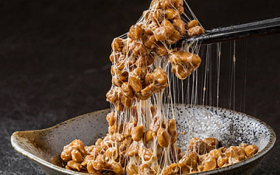 ImmuneSoyz – hoạt chất sinh học đặc biệt từ đậu tương Nhật Bản