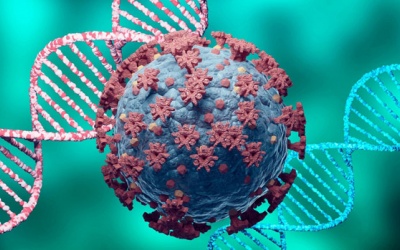 Tìm ra kháng thể vô hiệu hóa được các biến chủng của SARS-CoV-2