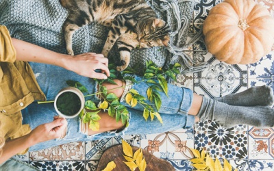 Tử vi tháng 9/2021: Ma Kết nên dành thời gian để học tập