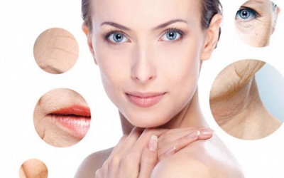 8 thực phẩm giúp làm chậm quá trình lão hóa da hiệu quả