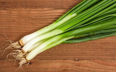 Cách bảo quản hành lá luôn tươi xanh sử dụng được lâu