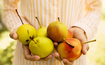 Những loại trái cây giúp kiểm soát dường huyết cho người bệnh đái tháo đường 