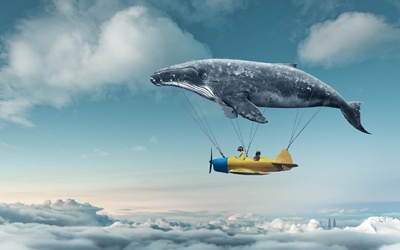 Tử vi thứ Tư (13/10/2021): Cự Giải đang khá mơ mộng về cuộc sống