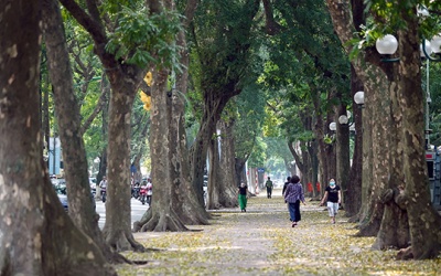 Dự báo thời tiết ngày 20/10: Bắc Bộ mưa giảm, nhiệt độ tăng nhẹ