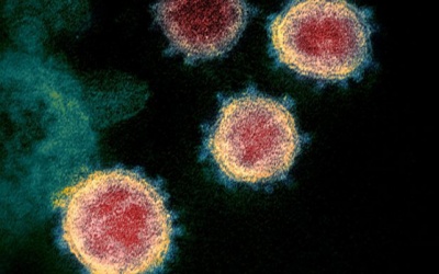 Biến thể COVID-19 mới ở Anh có trở thành biến thể dễ lây nhiễm nhất?