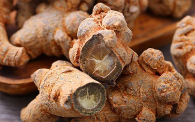 Tìm hiểu các cây thuốc Nam trị bệnh hở van tim hiệu quả 