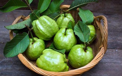 Những ai không nên ăn quả ổi?