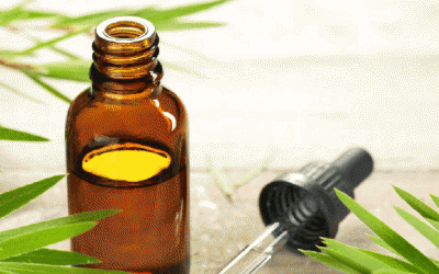 5 công dụng tuyệt vời của tinh dầu tràm trà 