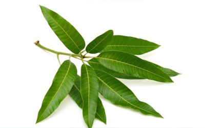 Người bệnh chia sẻ: Kinh nghiệm giảm và ổn định đường huyết sau 5 tuần