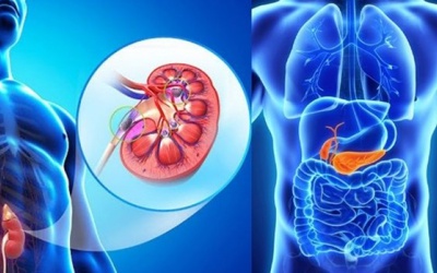 Tổng hợp các cách đẩy sỏi mật ra ngoài hiệu quả