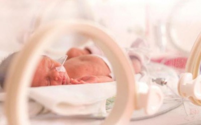 BV Nhi Trung ương: Tạo điều kiện tối đa để điều trị cho trẻ sinh non