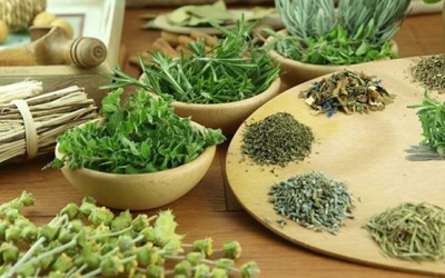 Cây thuốc Nam trị thiếu máu cơ tim đã được chứng minh hiệu quả