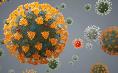 Giải mã 'bí ẩn' COVID-19 ở Nhật Bản và Châu Phi