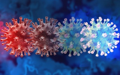 Bộ Y tế triển khai các biện pháp phòng, chống biến thể mới của virus SARS-CoV-2