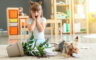 Tử vi thứ Ba (7/12/2021): Nhân Mã có thể tỏ ra hơi vụng về