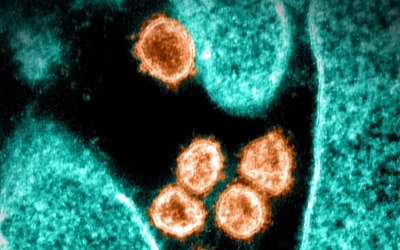 Những phát hiện mới nhất về biến thể Omicron