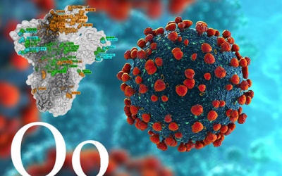 Omicron đang lây lan nhanh 'chưa từng thấy', Campuchia đã có ca đầu tiên