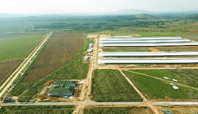 Tổ hợp trang trại bò sữa của Vinamilk tại Lào sắp đi vào hoạt động