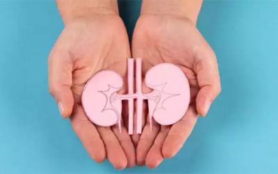 7 dấu hiệu “cảnh báo” thận bạn đang có vấn đề 