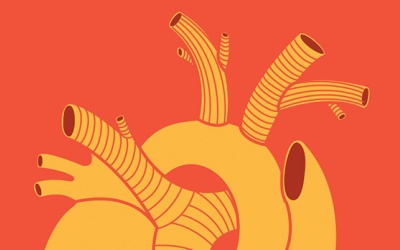 Cùng chuyên gia tìm hiểu vai trò của động mạch vành, vi mạch vành