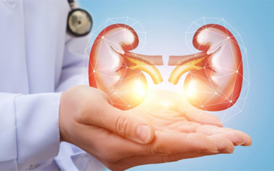 Triệu chứng và cách cải thiện tình trạng thận yếu