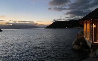 Dự cảm 2022: COVID-19 và bản chất xã hội của loài người