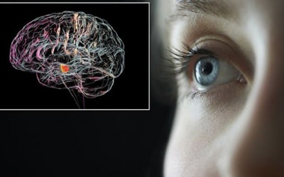 Triệu chứng bệnh Parkinson: Cảnh giác với các hành động vô thức