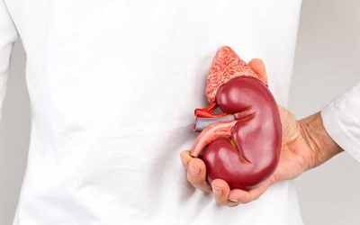 Những thói quen khiến thận suy yếu